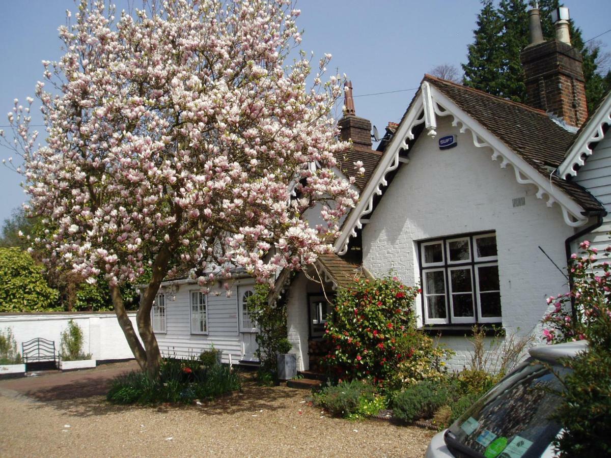 Ford Cottage รอยัลทันบริดจ์เวลส์ ภายนอก รูปภาพ